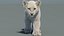 Animated Lion Cub 3D Models Fur | White and Natural Colors 3D model