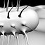 E Coli Bacteria Cell 1