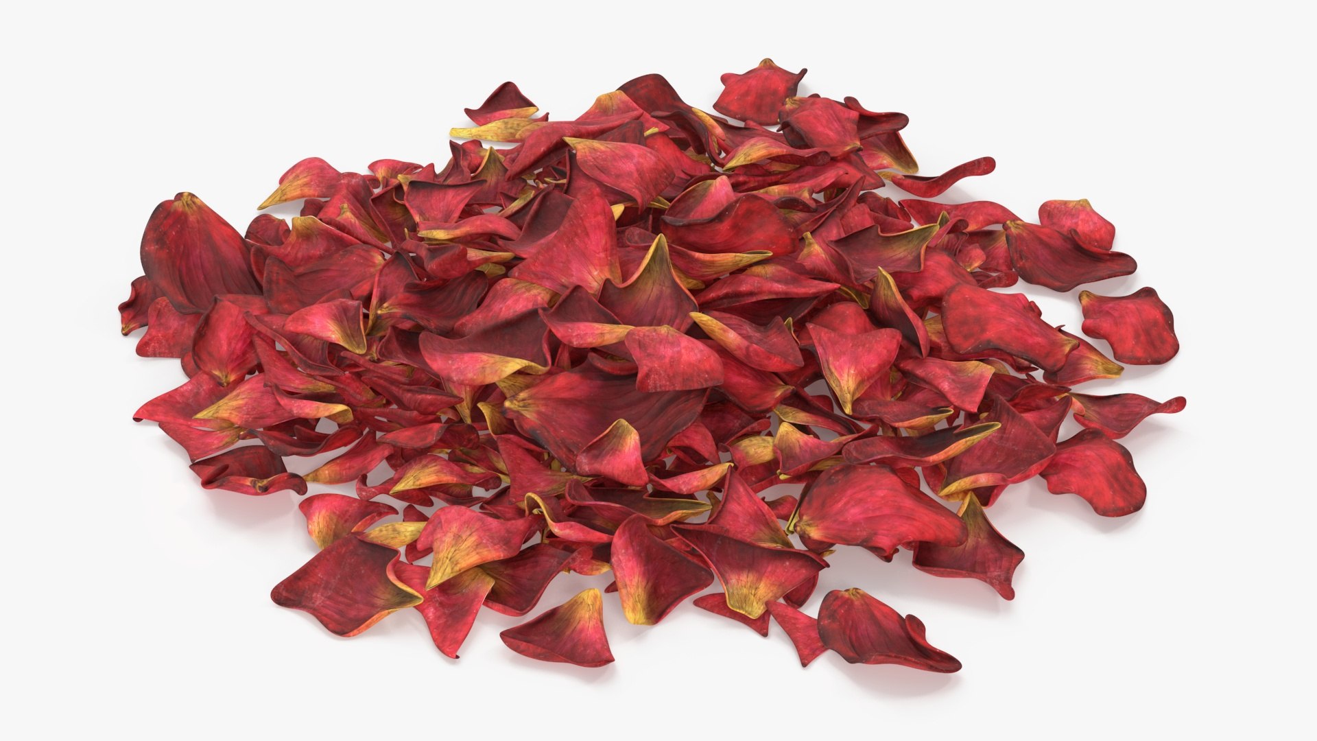 Dried Rose Petals Pile 3D model preview