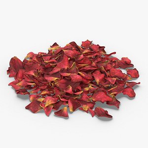 Dried Rose Petals Pile