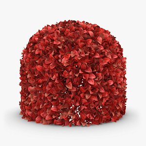 Hedge 04 (Red)