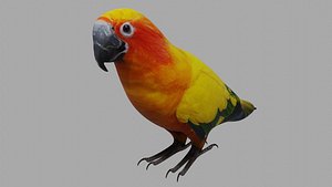 2xParrot and Swan OBJ