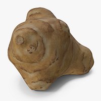 Jerusalem Artichoke