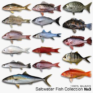 Saltwater Fish Collection 3