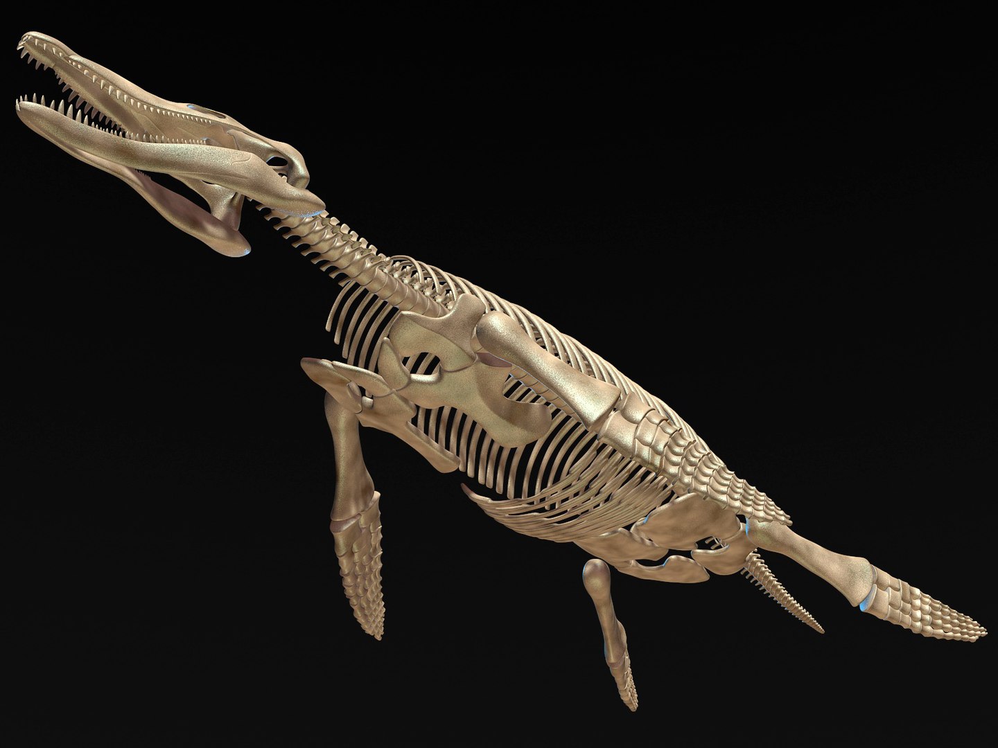 Kronosaurus Pliosaur Skull Skeleton Model - TurboSquid 1248852