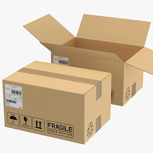 3D Detailed Close Open Cardboard Box