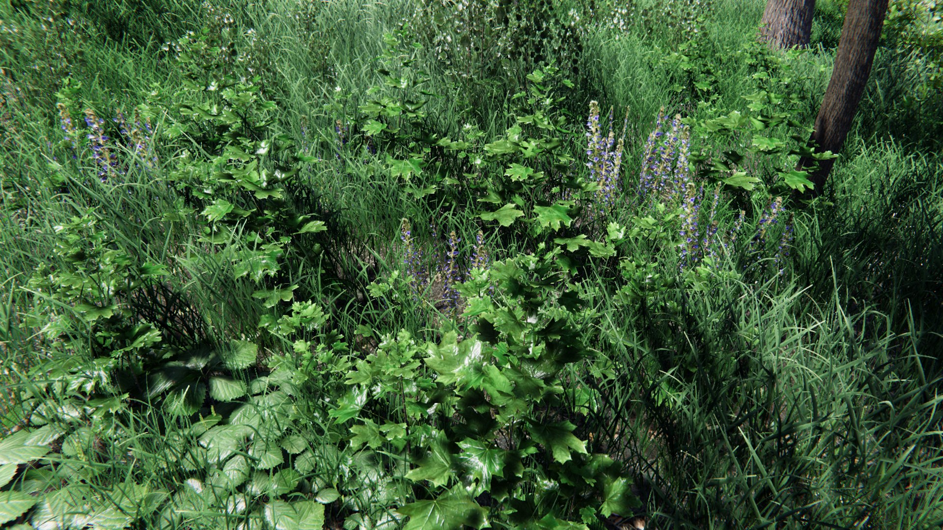 3D trees bushes grass vegetation model https://p.turbosquid.com/ts-thumb/Y1/A3F4Na/2bBK8C7H/1ffc8154a40e4d2c8bb5b762a164dbb7_orig/jpg/1600394136/1920x1080/fit_q87/7bde712c0369000efd56359d4f0815d9360d4884/1ffc8154a40e4d2c8bb5b762a164dbb7_orig.jpg