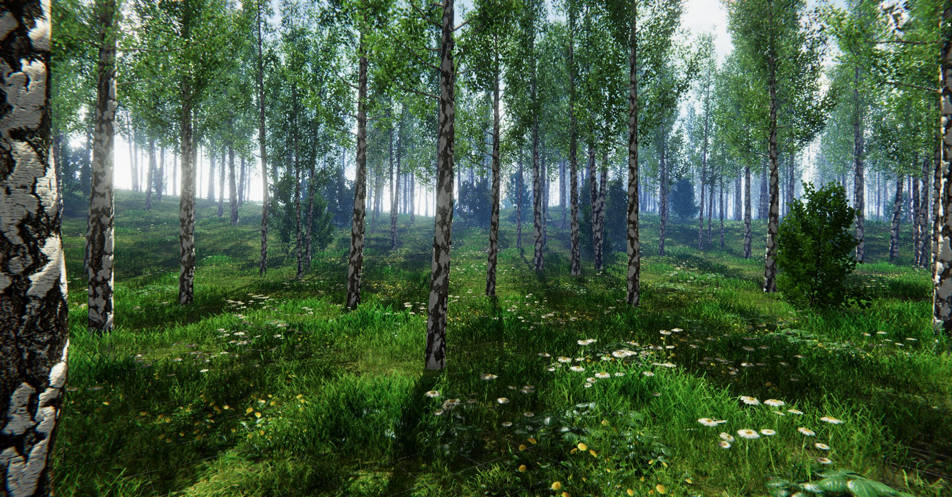 3D trees bushes grass vegetation model https://p.turbosquid.com/ts-thumb/Y1/A3F4Na/b5UQu5aL/8ddcdaa9eb2f4f72a19c029c0741bfe2_orig/jpg/1600397159/1920x1080/fit_q87/562169aa72fddfc621ac87083b583b3a4734cc81/8ddcdaa9eb2f4f72a19c029c0741bfe2_orig.jpg