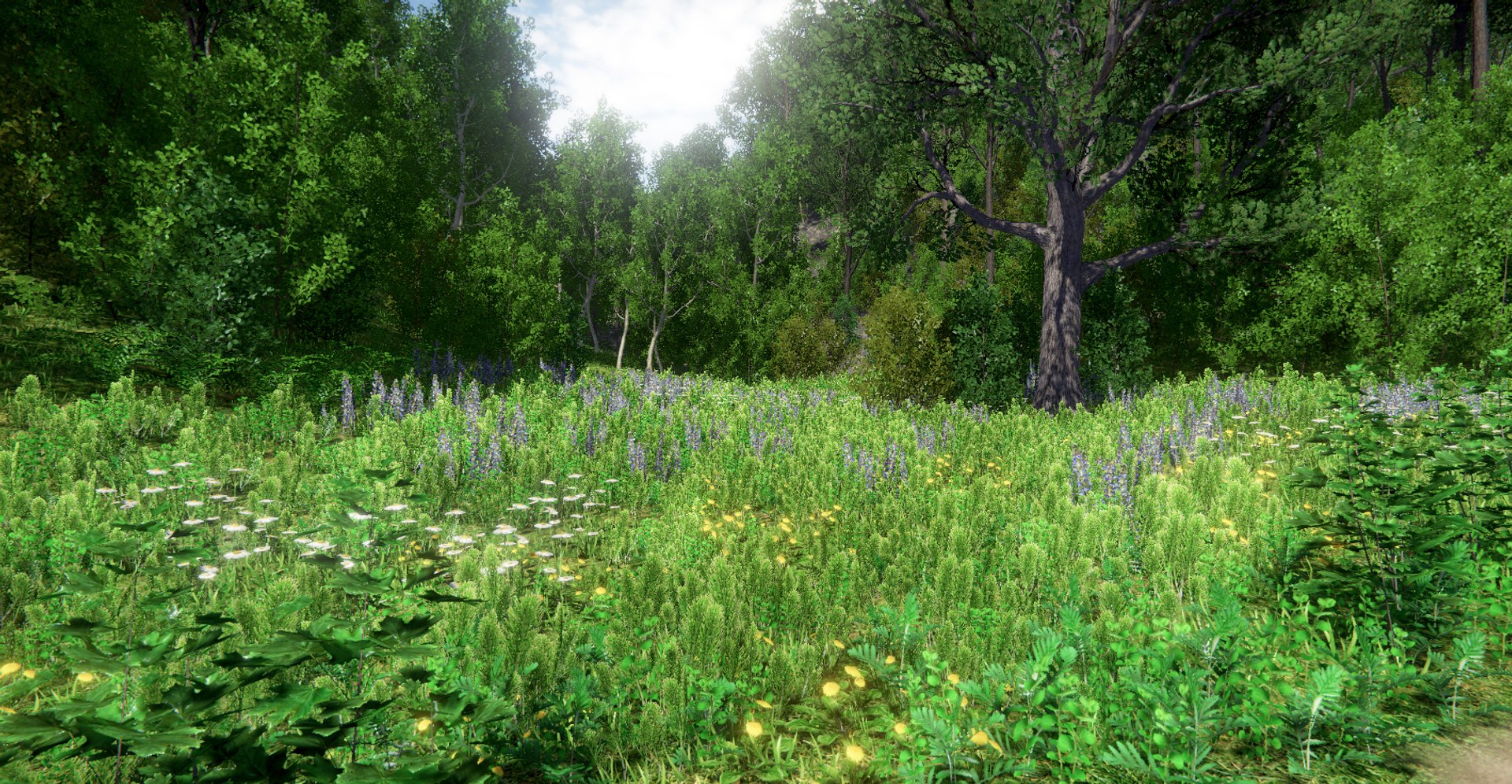 3D trees bushes grass vegetation model https://p.turbosquid.com/ts-thumb/Y1/A3F4Na/mv7NSVtD/2599f6b4374d4d919177d1bd530c749c_orig/jpg/1600397164/1920x1080/fit_q87/bc0429c3b6674432cc91e987268cc275265d1129/2599f6b4374d4d919177d1bd530c749c_orig.jpg