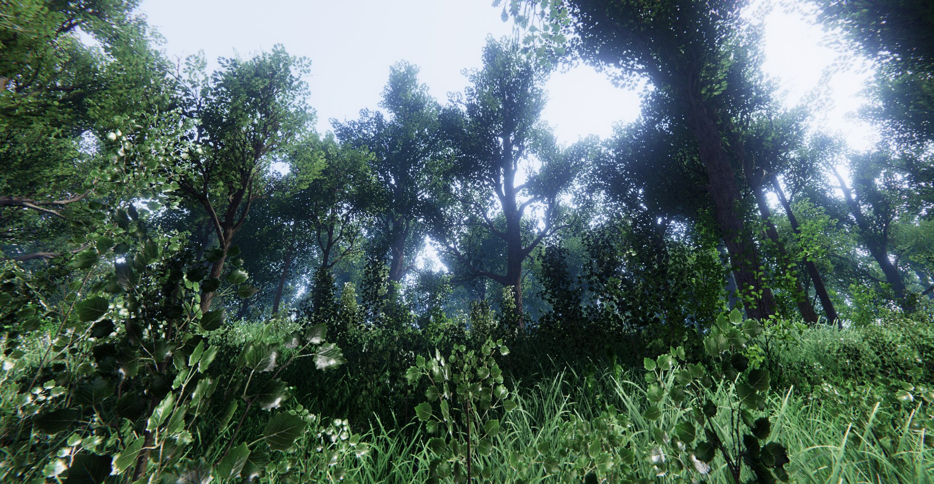 3D trees bushes grass vegetation model https://p.turbosquid.com/ts-thumb/Y1/A3F4Na/wLVtzrFV/e2fdb71b41944dc48d6615863f646a11_orig/jpg/1600397172/1920x1080/fit_q87/8d6613c6bc1e2a589a0d9638353ec2c9869f9071/e2fdb71b41944dc48d6615863f646a11_orig.jpg