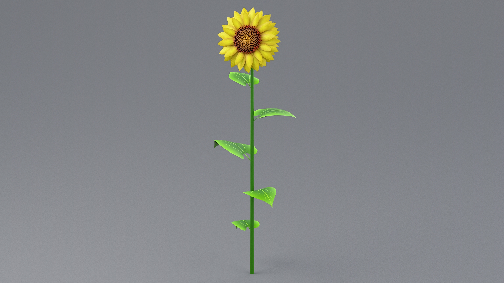 Cartoon Sunflower Collection 3D model https://p.turbosquid.com/ts-thumb/Y1/b58KQS/11/sunflowertwotba/jpg/1680180033/1920x1080/turn_fit_q99/347c4a8a0dce337948b7f9a6808f412e7763bec2/sunflowertwotba-1.jpg