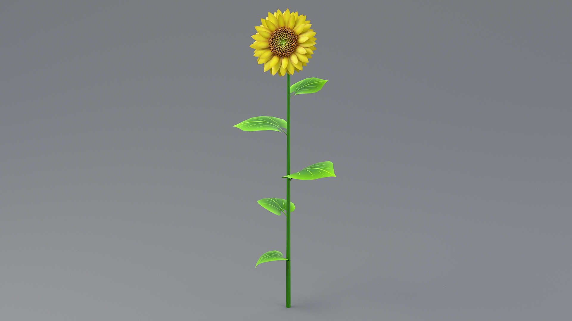 Cartoon Sunflower Collection 3D model https://p.turbosquid.com/ts-thumb/Y1/b58KQS/PB/sunfloweronetba/jpg/1680179993/1920x1080/turn_fit_q99/395caad9c14860ecf22f54f61fc978b2e3f44154/sunfloweronetba-1.jpg