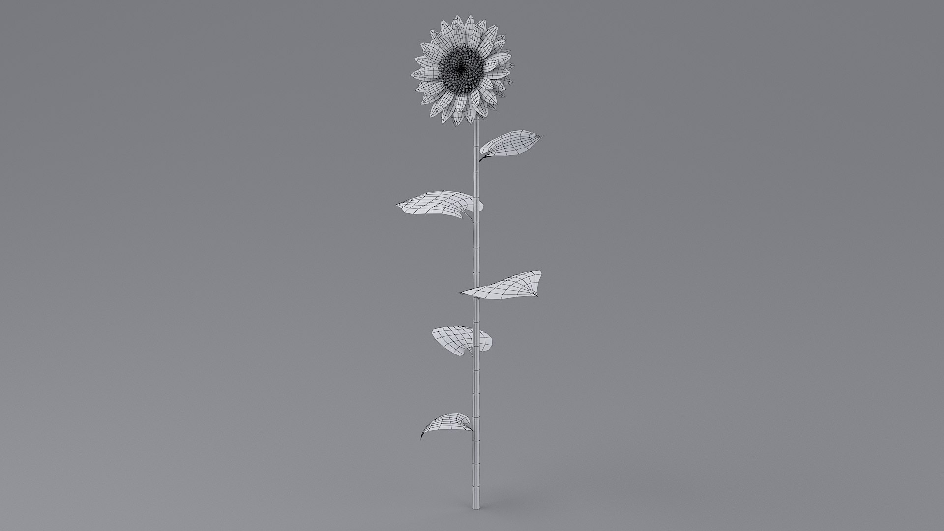 Cartoon Sunflower Collection 3D model https://p.turbosquid.com/ts-thumb/Y1/b58KQS/Pg/sunflower_01_0008/jpg/1680179856/1920x1080/fit_q87/3cf3bc210cdf7ec9550e602cabb7b37dd4ca8289/sunflower_01_0008.jpg
