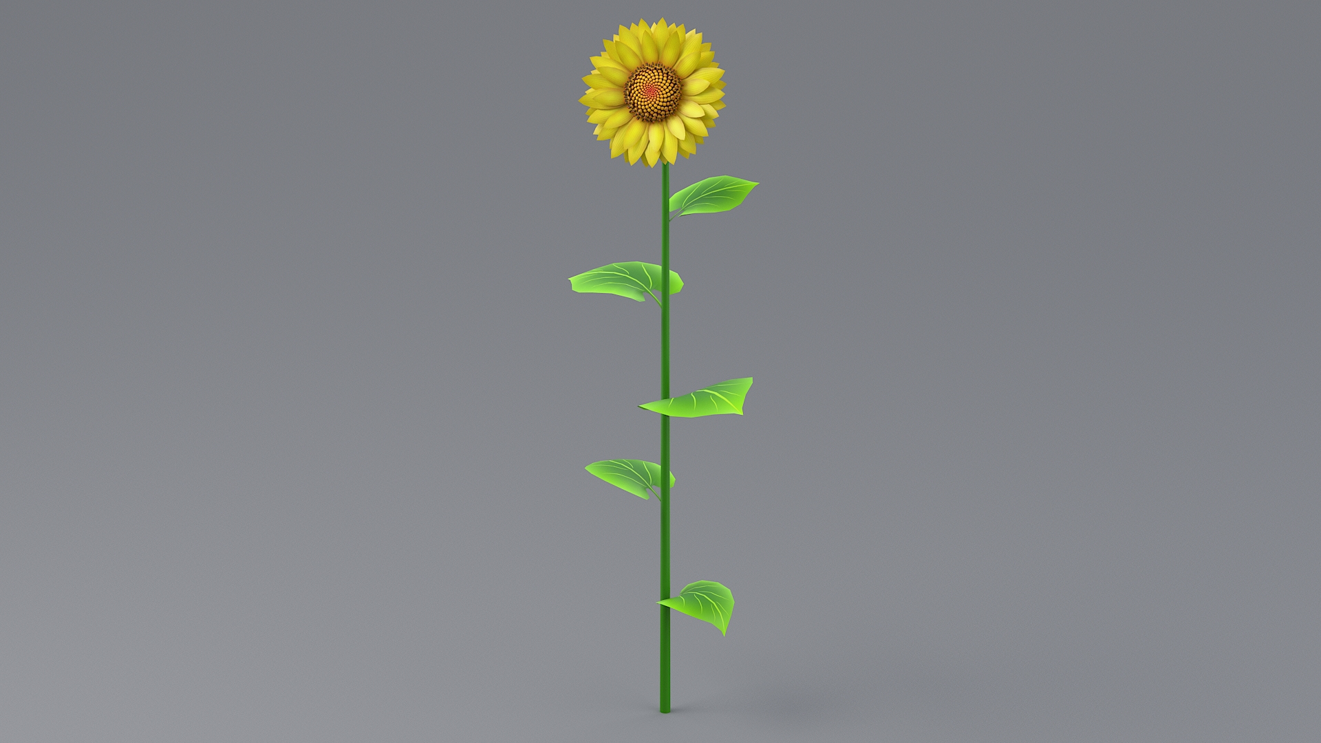 Cartoon Sunflower Collection 3D model https://p.turbosquid.com/ts-thumb/Y1/b58KQS/uw/sunflowerthreetba/jpg/1680180063/1920x1080/turn_fit_q99/8304945b7e0161cd8b024a8a88b03865768947c1/sunflowerthreetba-1.jpg