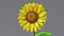 Cartoon Sunflower Collection