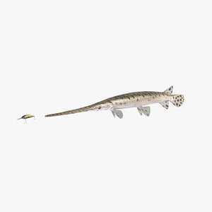 longnose gar fish 3D model