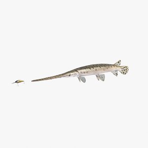 Longnose Gar