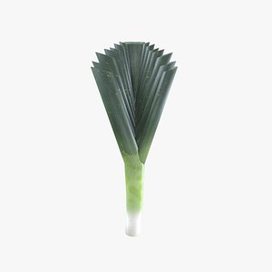 Medieval Leeks 3D