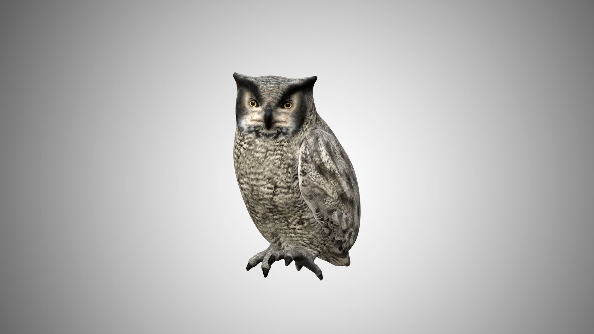 rigged realistic 3D model https://p.turbosquid.com/ts-thumb/Y1/kK8Mt5/1z9ND1SB/00/jpg/1597095520/1920x1080/fit_q87/3f7f2011f22a5db0af75228b9c97f989f9d47125/00.jpg