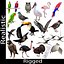 Collection d'oiseaux gréés Low Poly
