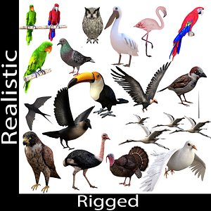 Rigged Low Poly Bird Collection