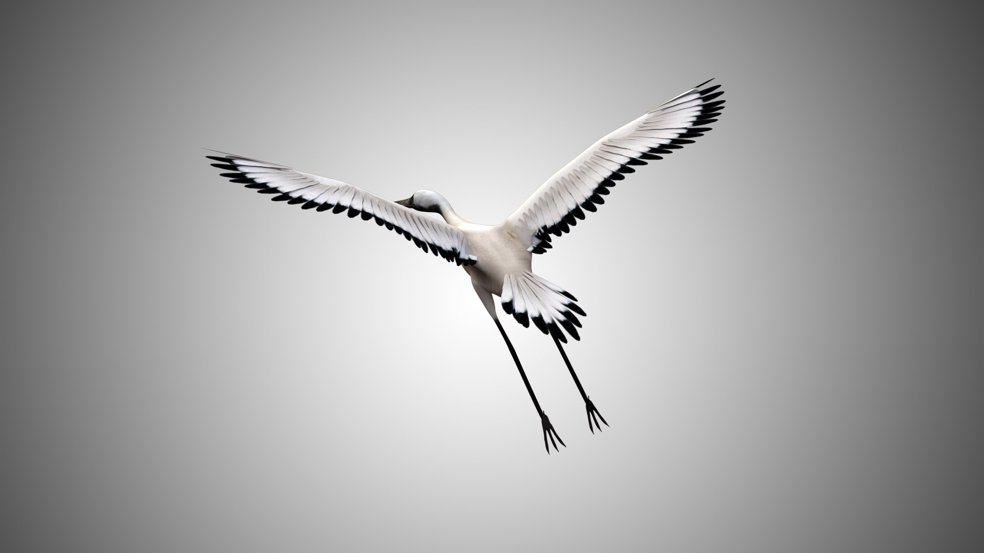 rigged realistic 3D model https://p.turbosquid.com/ts-thumb/Y1/kK8Mt5/2eRDxDNs/crane05/jpg/1597095601/1920x1080/fit_q87/d005bcc9802507d1f684828002cb7e115132126a/crane05.jpg