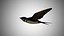 Collection d'oiseaux gréés Low Poly