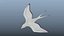 Collection d'oiseaux gréés Low Poly