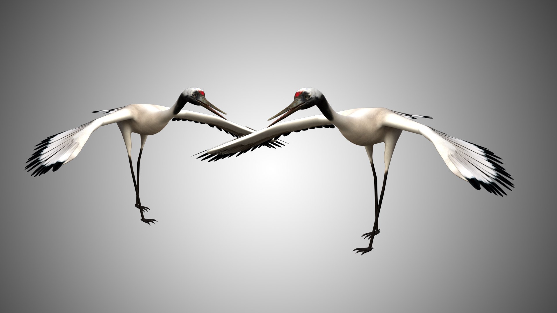 rigged realistic 3D model https://p.turbosquid.com/ts-thumb/Y1/kK8Mt5/78RWZZvv/crane06/jpg/1597095601/1920x1080/fit_q87/4de13e0ccf929f604a7e1367b0c58aedf88a8c0b/crane06.jpg