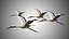 Collection d'oiseaux gréés Low Poly