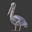 Collection d'oiseaux gréés Low Poly