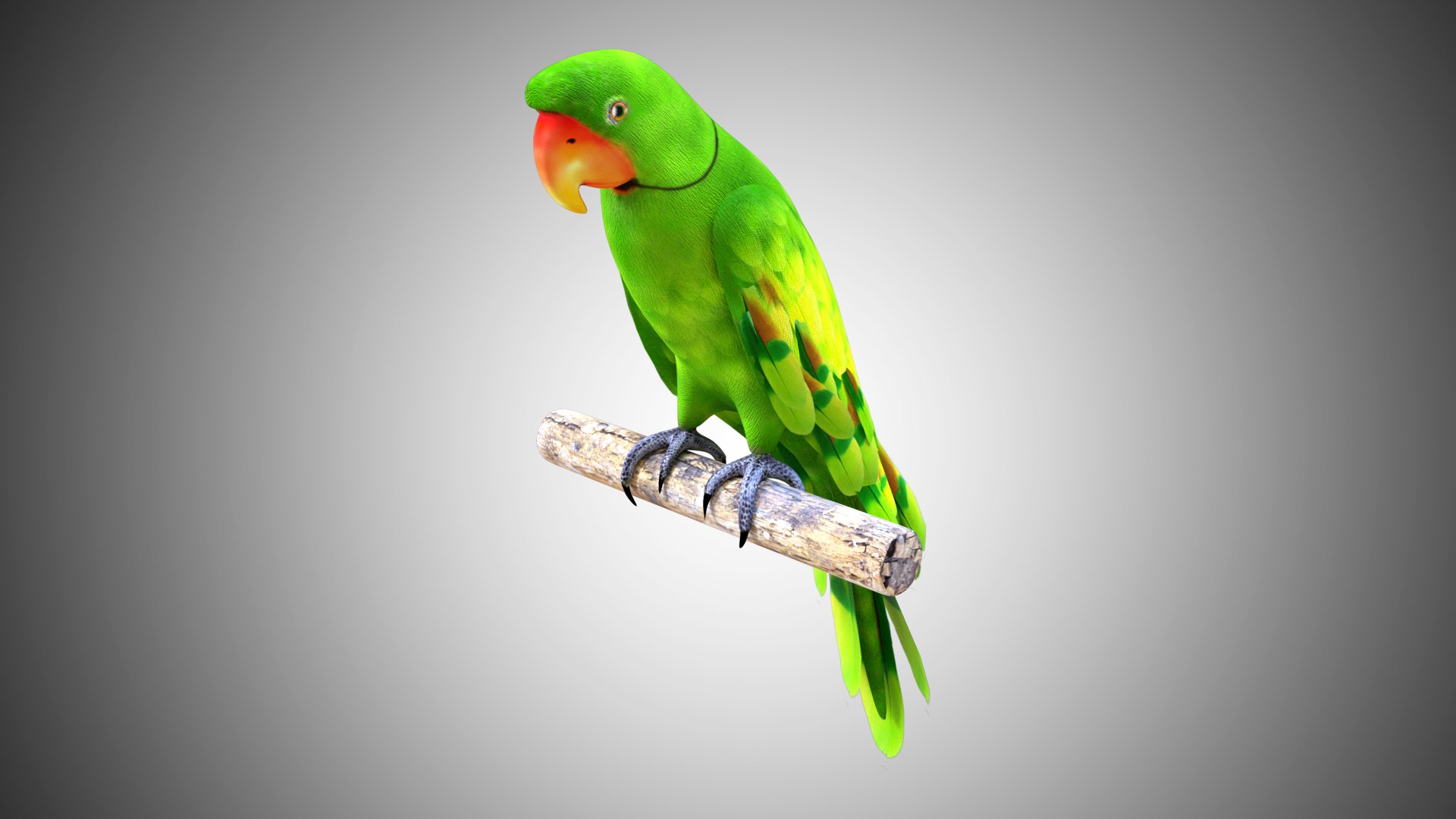 rigged realistic 3D model https://p.turbosquid.com/ts-thumb/Y1/kK8Mt5/AXjv6qHP/02/jpg/1597095459/1920x1080/fit_q87/33aa26b5f95010ea47d680ac4b86aad6a8efc698/02.jpg