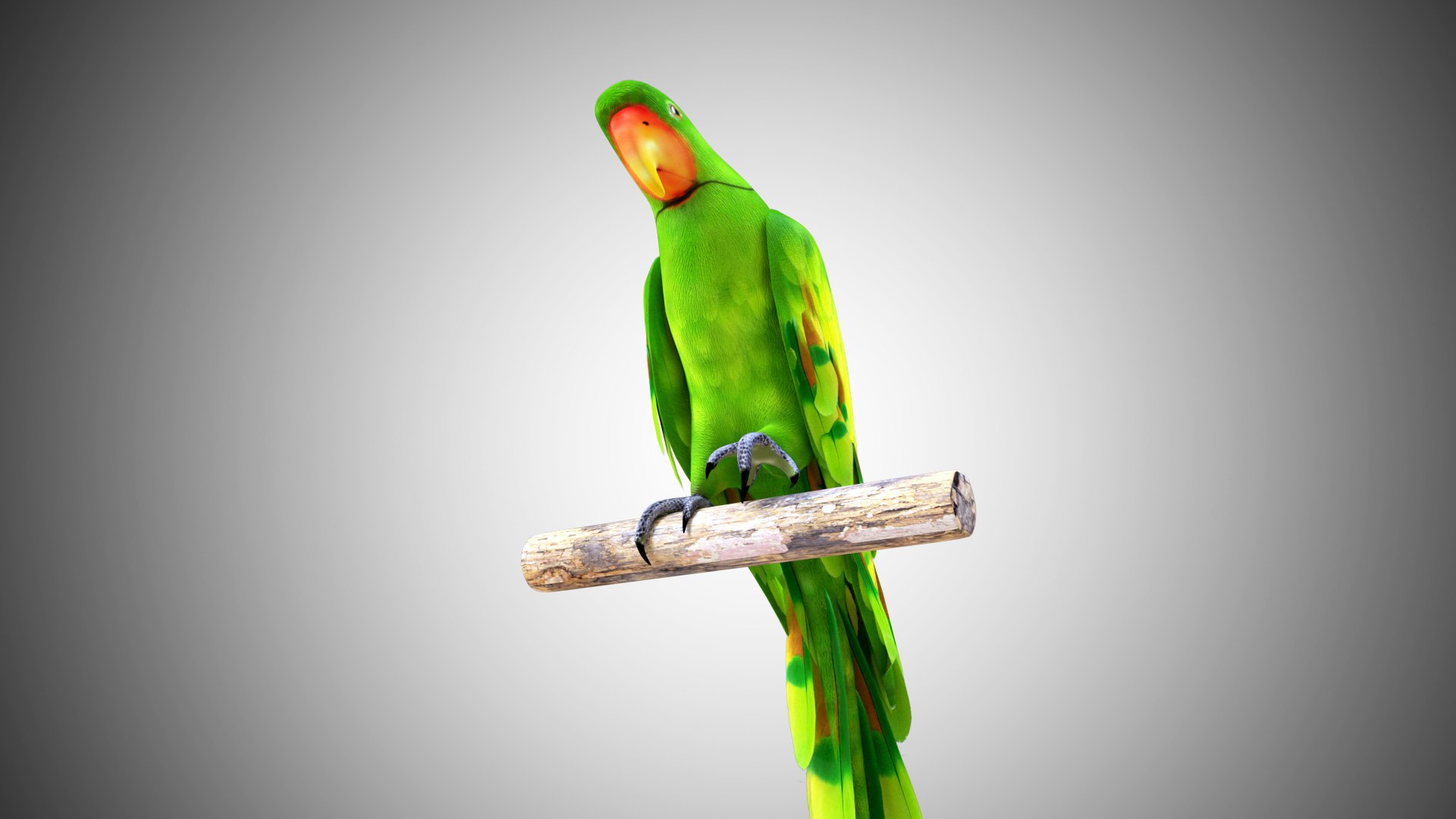 rigged realistic 3D model https://p.turbosquid.com/ts-thumb/Y1/kK8Mt5/EL8pHsRT/05/jpg/1597095459/1920x1080/fit_q87/da8271e0fa7da218606bddb8176f76abe1dac383/05.jpg