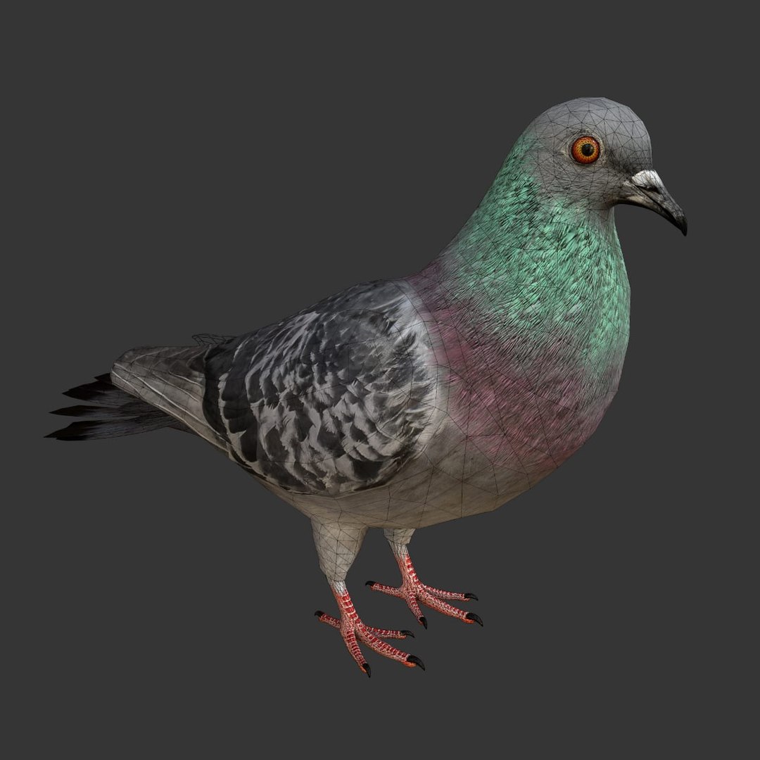 rigged realistic 3D model https://p.turbosquid.com/ts-thumb/Y1/kK8Mt5/GcX17mGw/05/png/1600114749/1920x1080/fit_q87/48a93829cca3273aaf2e8920b62d11594bd3edd7/05.jpg