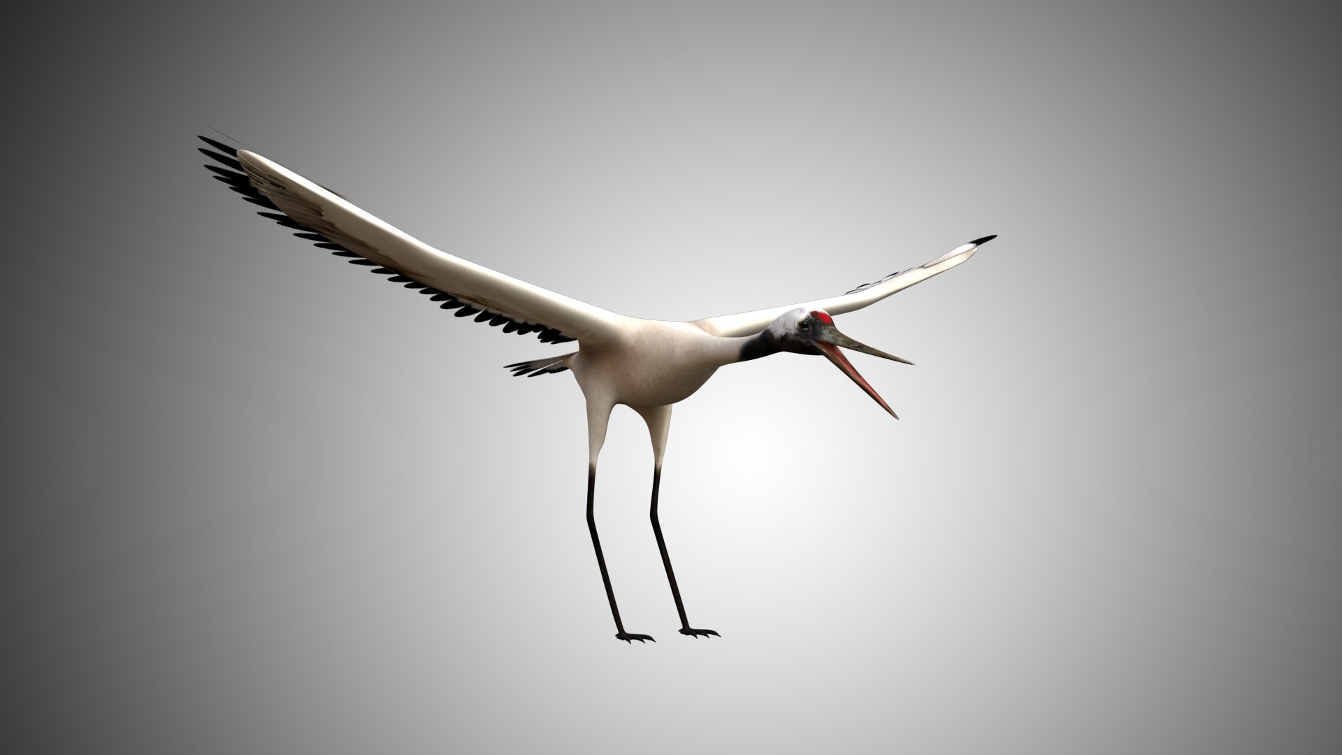 rigged realistic 3D model https://p.turbosquid.com/ts-thumb/Y1/kK8Mt5/I1NZ40ZO/crane01/jpg/1597095601/1920x1080/fit_q87/7b6c4aa1aea25a332fac54accbabec8dd287b7f0/crane01.jpg