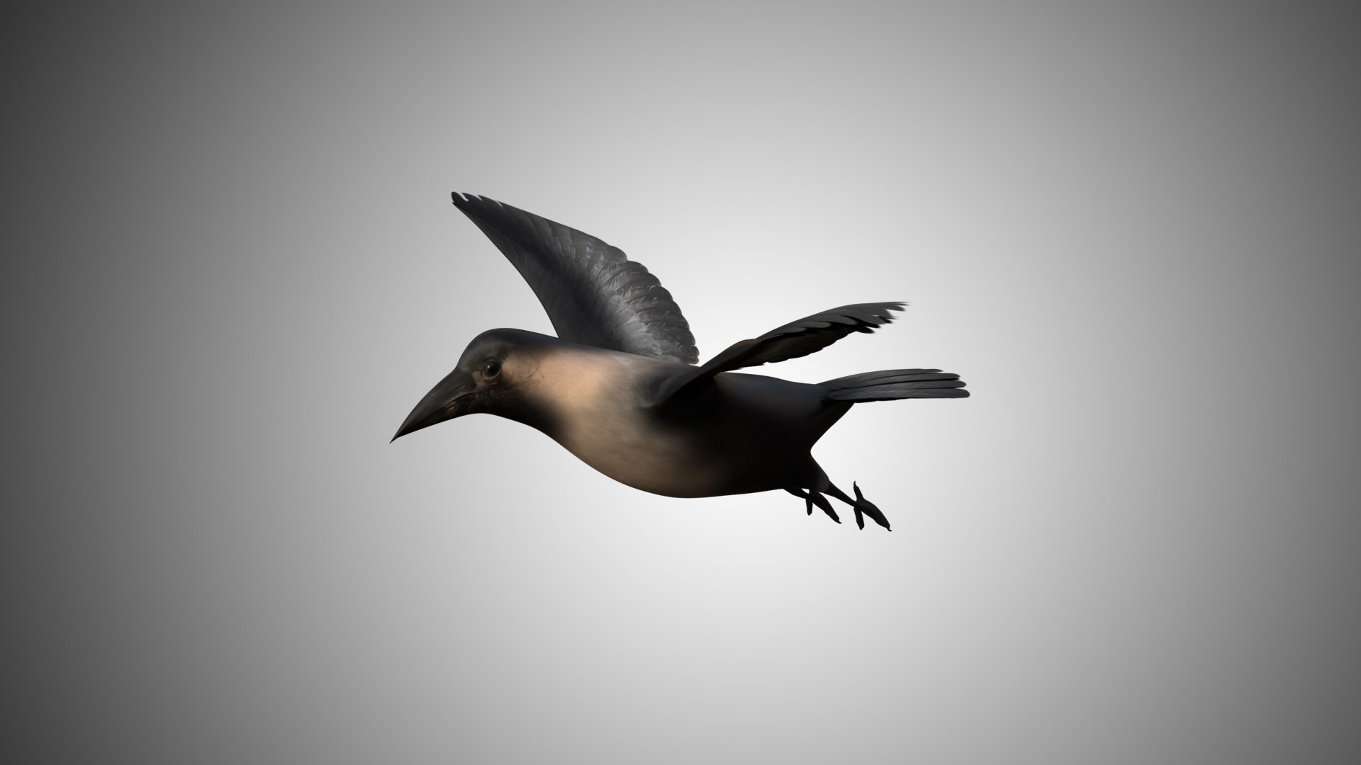 rigged realistic 3D model https://p.turbosquid.com/ts-thumb/Y1/kK8Mt5/IlVX6YiX/crow01/jpg/1597095624/1920x1080/fit_q87/387ff4c381008a7c34eef90f20ae801a947cd48e/crow01.jpg