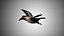 Collection d'oiseaux gréés Low Poly
