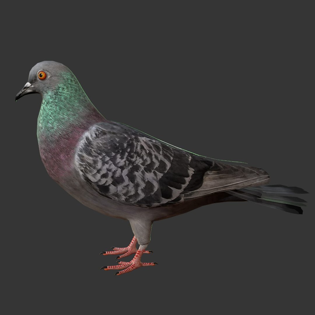 rigged realistic 3D model https://p.turbosquid.com/ts-thumb/Y1/kK8Mt5/LH0vpEtL/02/png/1600114749/1920x1080/fit_q87/b0d72b46868486b8dfa5adc0e417fa0feeb7cc83/02.jpg