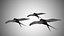 Collection d'oiseaux gréés Low Poly