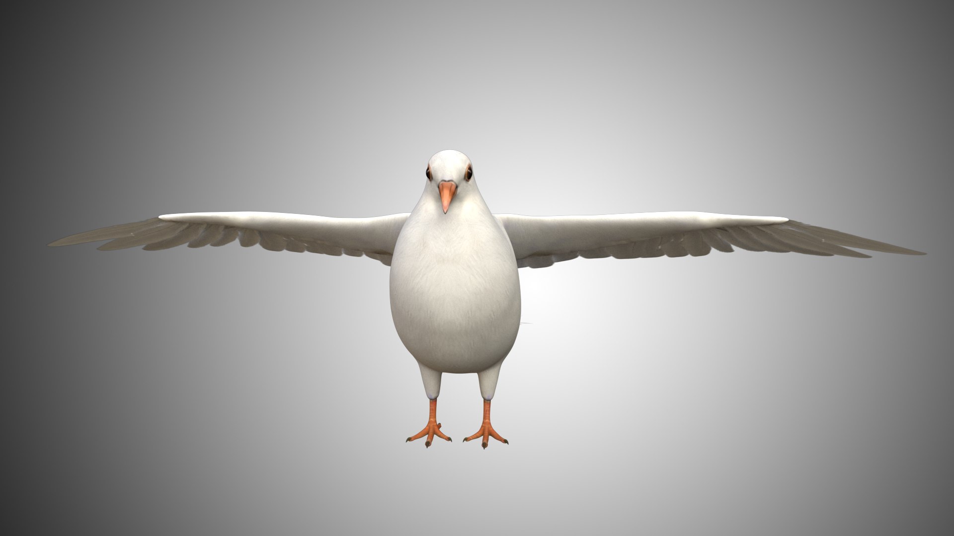 rigged realistic 3D model https://p.turbosquid.com/ts-thumb/Y1/kK8Mt5/LkDt1prd/dove_08/jpg/1597095643/1920x1080/fit_q87/3def00f133ba6177c2b24cd0a9588380aad90fbe/dove_08.jpg