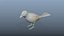 Collection d'oiseaux gréés Low Poly