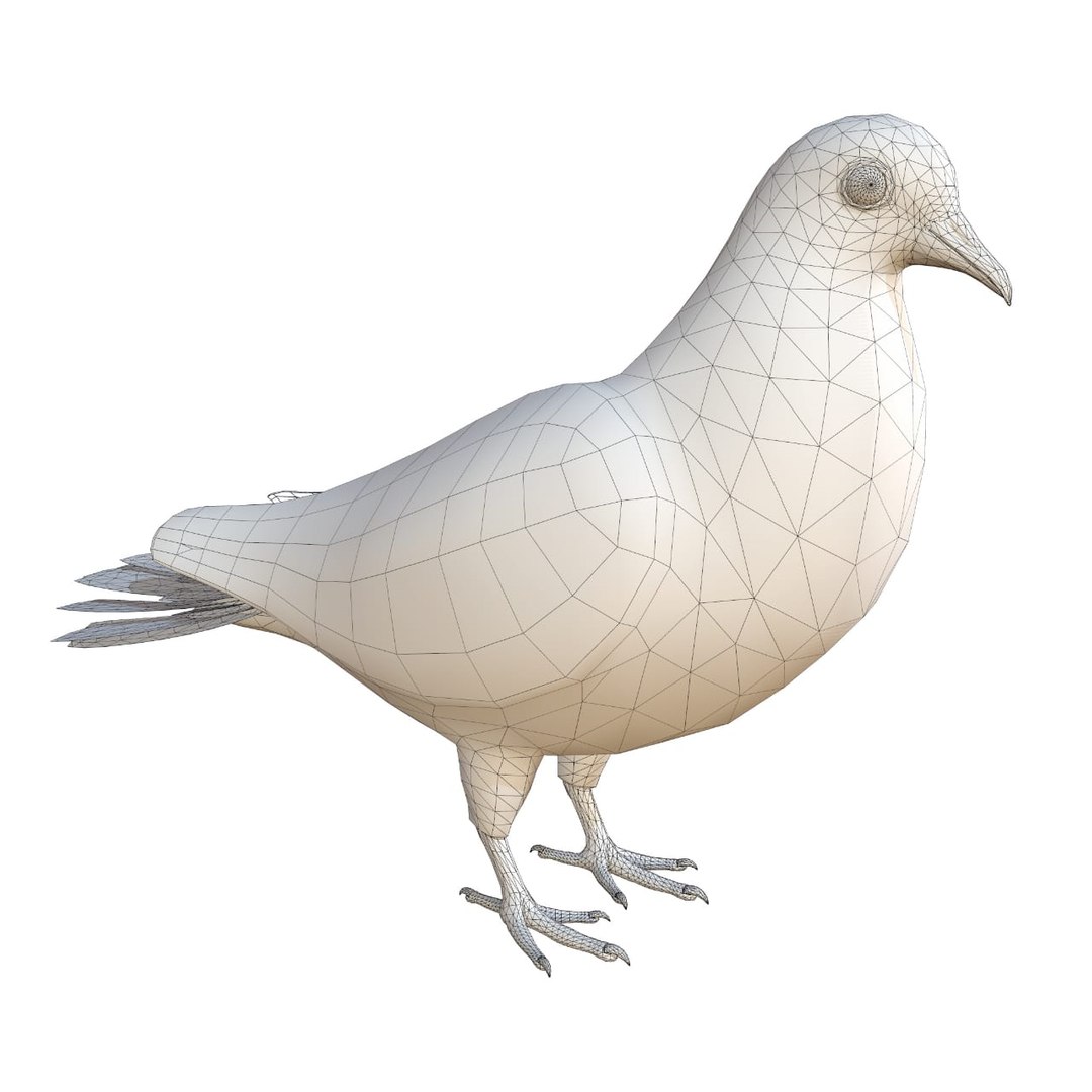 rigged realistic 3D model https://p.turbosquid.com/ts-thumb/Y1/kK8Mt5/TSSDDk4s/06/png/1600114749/1920x1080/fit_q87/a0224dc2c85842423e31c49f6ad68f4941c13002/06.jpg