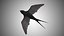Collection d'oiseaux gréés Low Poly