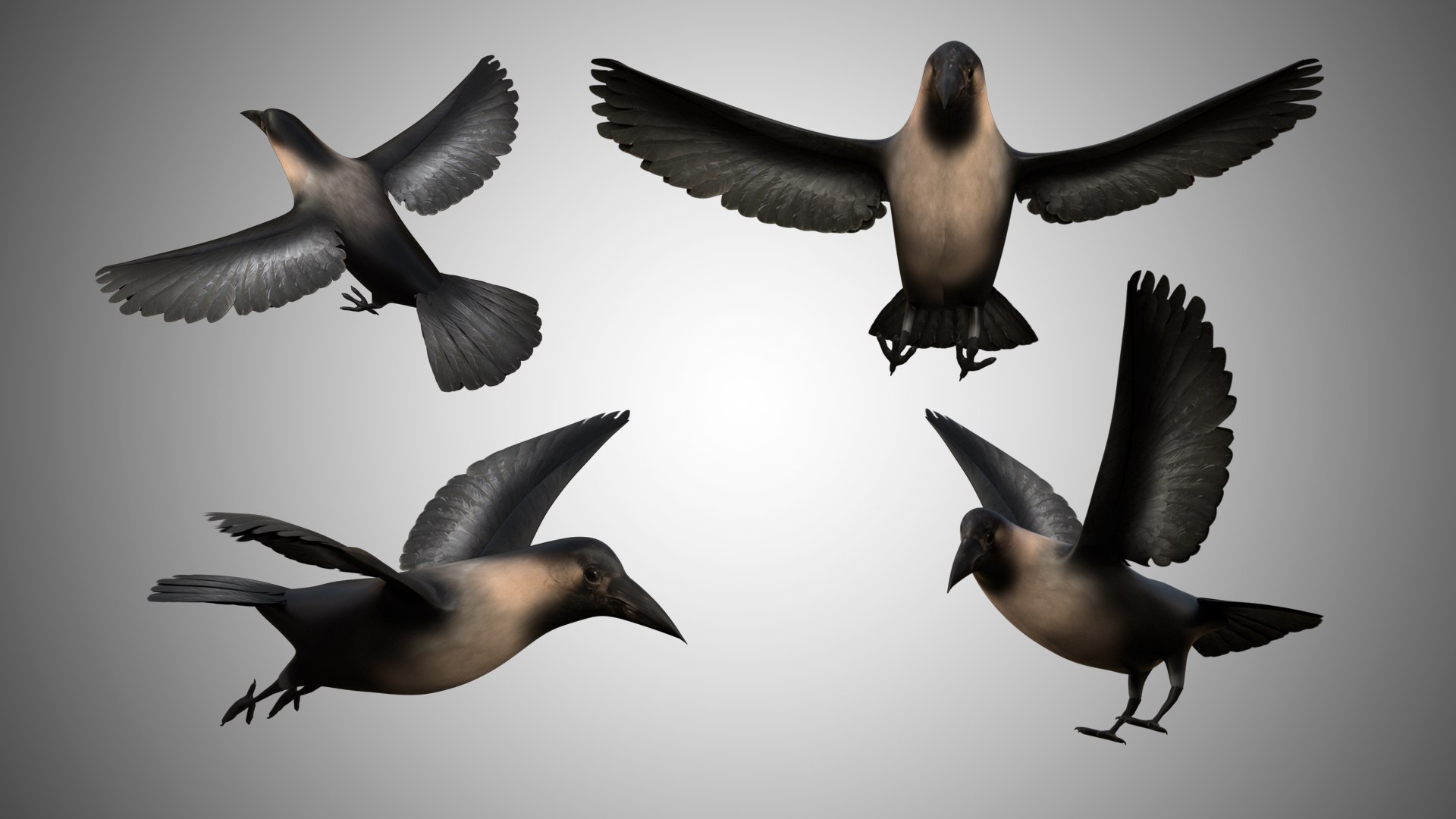 rigged realistic 3D model https://p.turbosquid.com/ts-thumb/Y1/kK8Mt5/WQ2sbdsj/00/jpg/1597095624/1920x1080/fit_q87/695419e5f9603bff29e11b92f2ab31dc2edcffbb/00.jpg