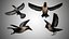 Collection d'oiseaux gréés Low Poly