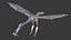 Collection d'oiseaux gréés Low Poly