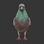 Collection d'oiseaux gréés Low Poly