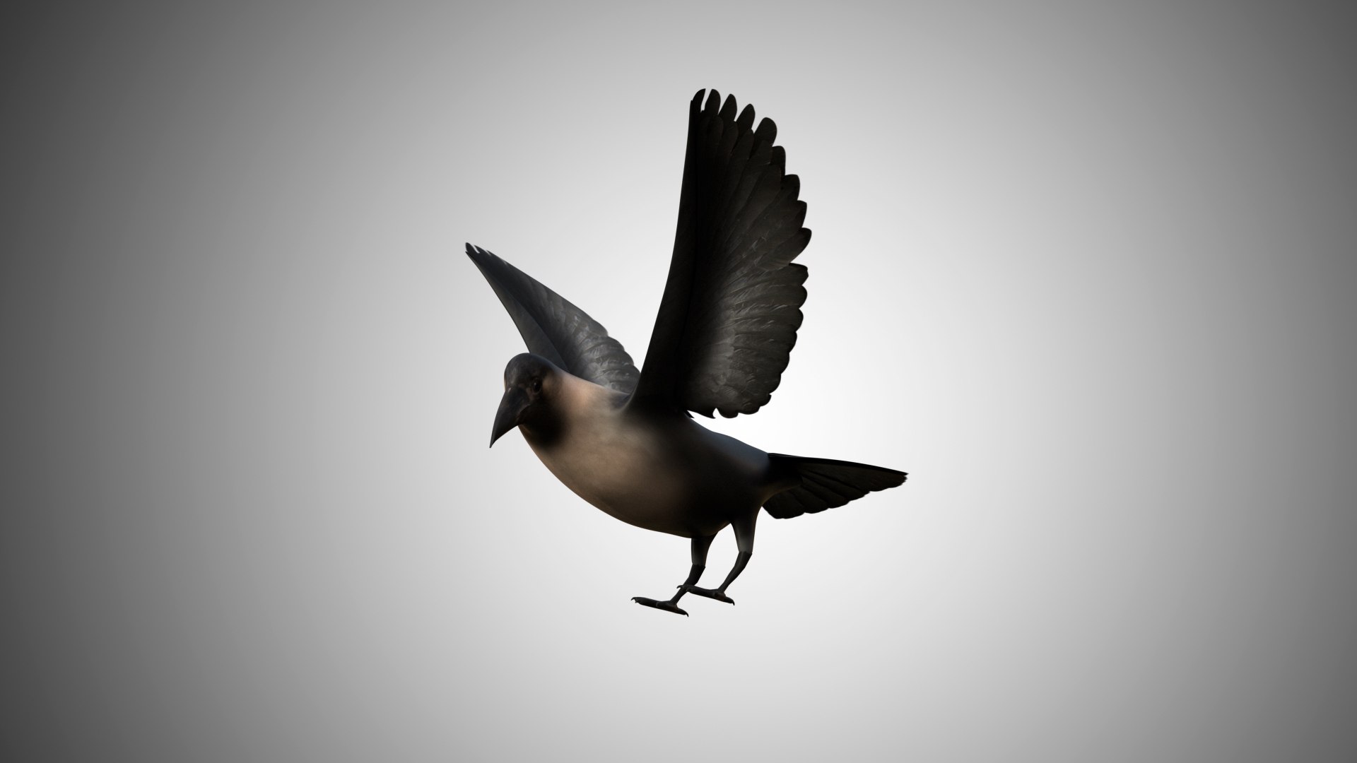 rigged realistic 3D model https://p.turbosquid.com/ts-thumb/Y1/kK8Mt5/Z65zAf3h/crow04/jpg/1597095624/1920x1080/fit_q87/0e8acf8919ffe547b59cff7b33e250c037e217d8/crow04.jpg