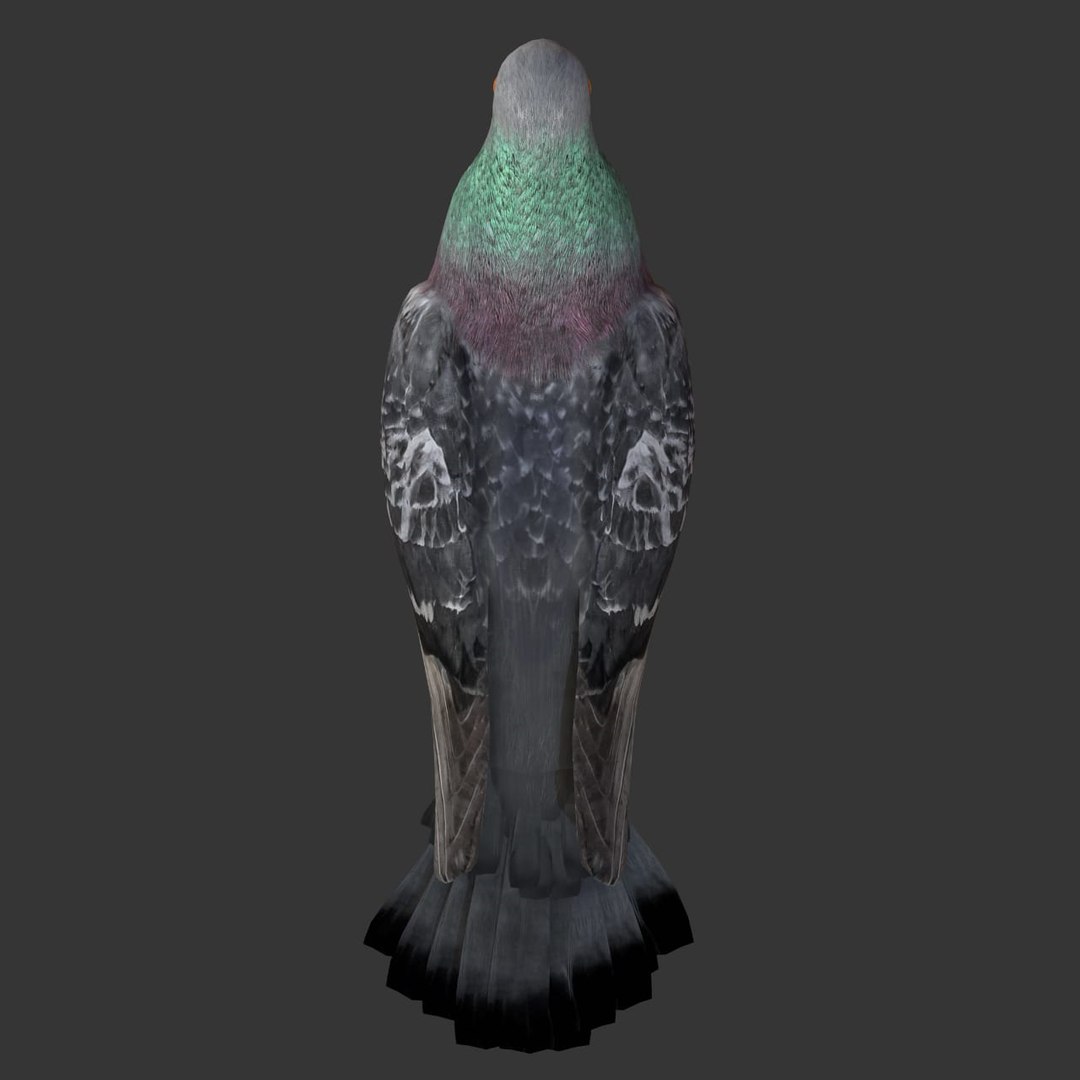 rigged realistic 3D model https://p.turbosquid.com/ts-thumb/Y1/kK8Mt5/ZU06vdhk/04/png/1600114749/1920x1080/fit_q87/9505fa42fe3a8607b0a91fe1a3f720bc91d82c0d/04.jpg