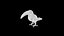 Collection d'oiseaux gréés Low Poly
